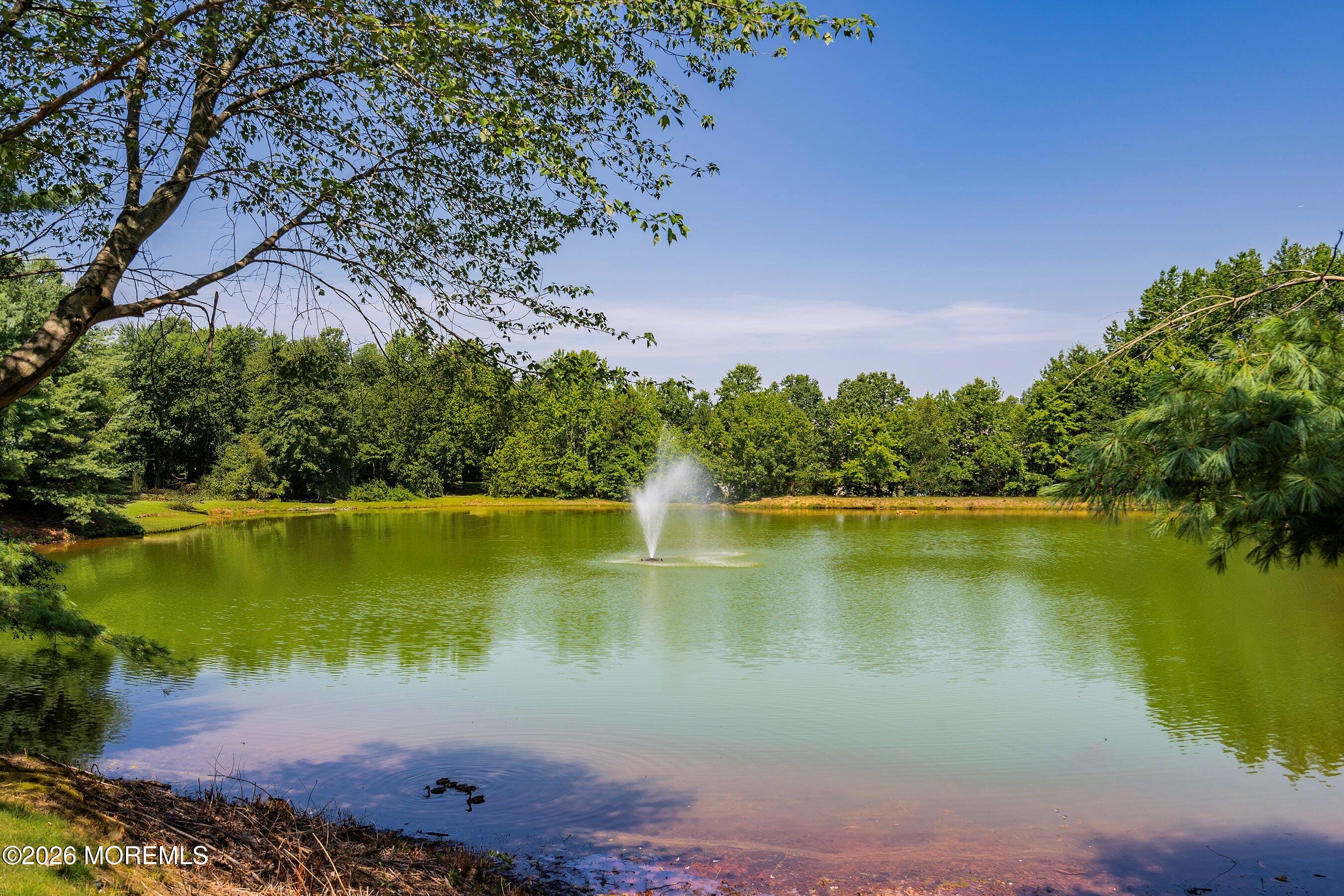 106 Nathan Drive, Morganville, NJ, 07751 image 42