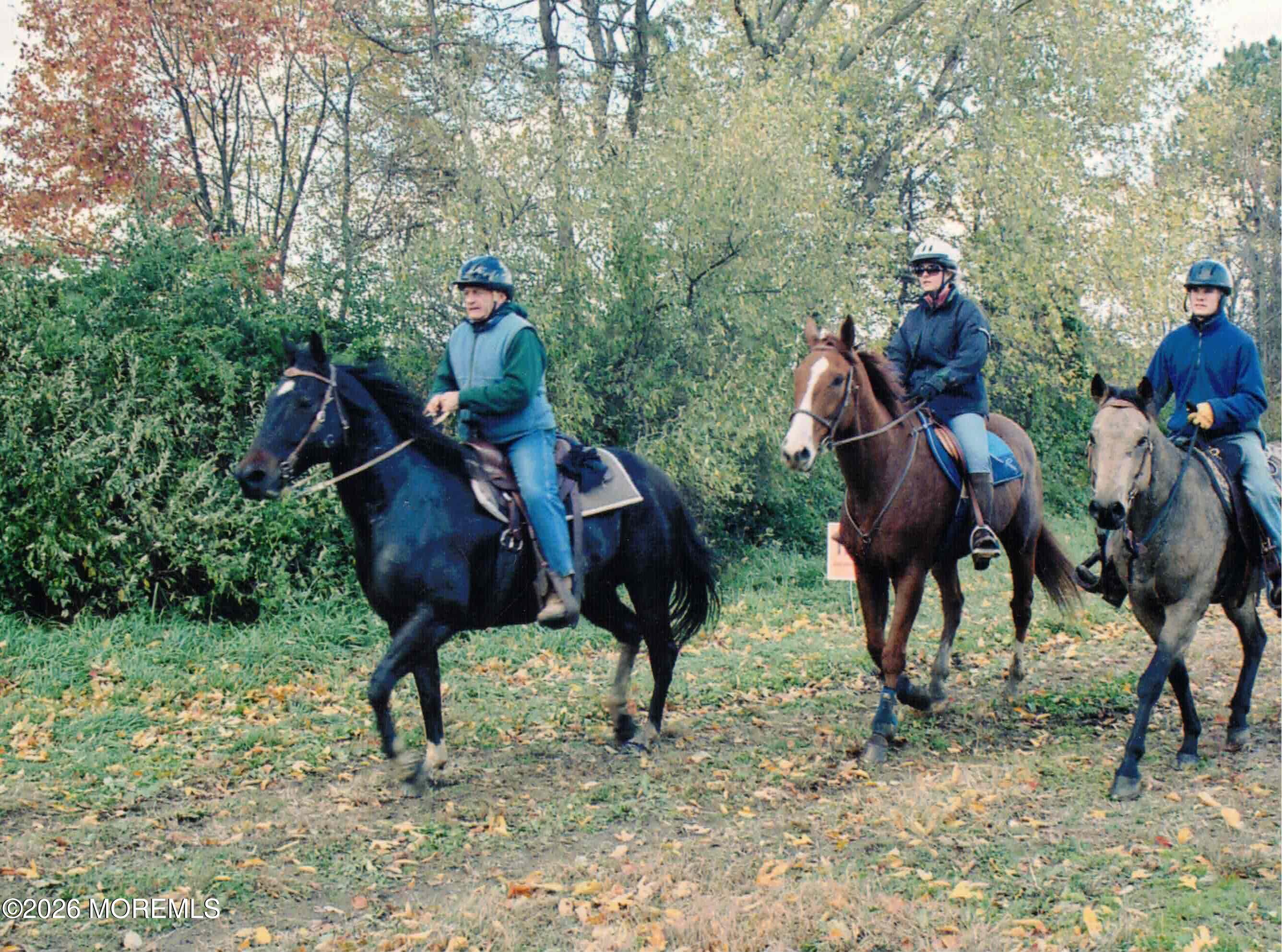 14 Homestead Lane, Roosevelt, NJ, 08555 image 17