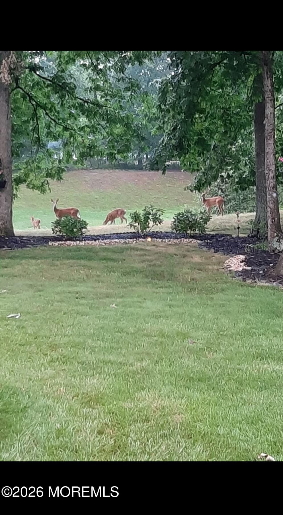 46 Morning Glory Lane, Whiting, NJ, 08759 image 39