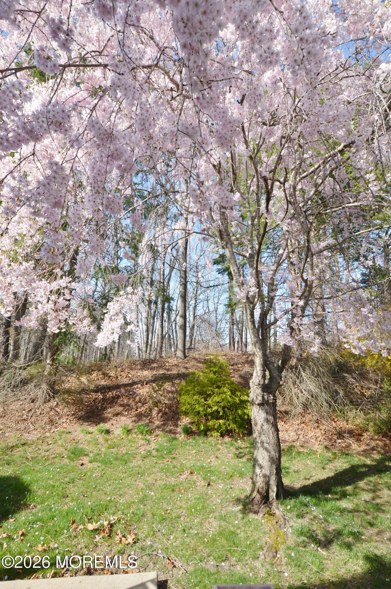 2753 Rockport Lane, Toms River, NJ, 08755 image 58