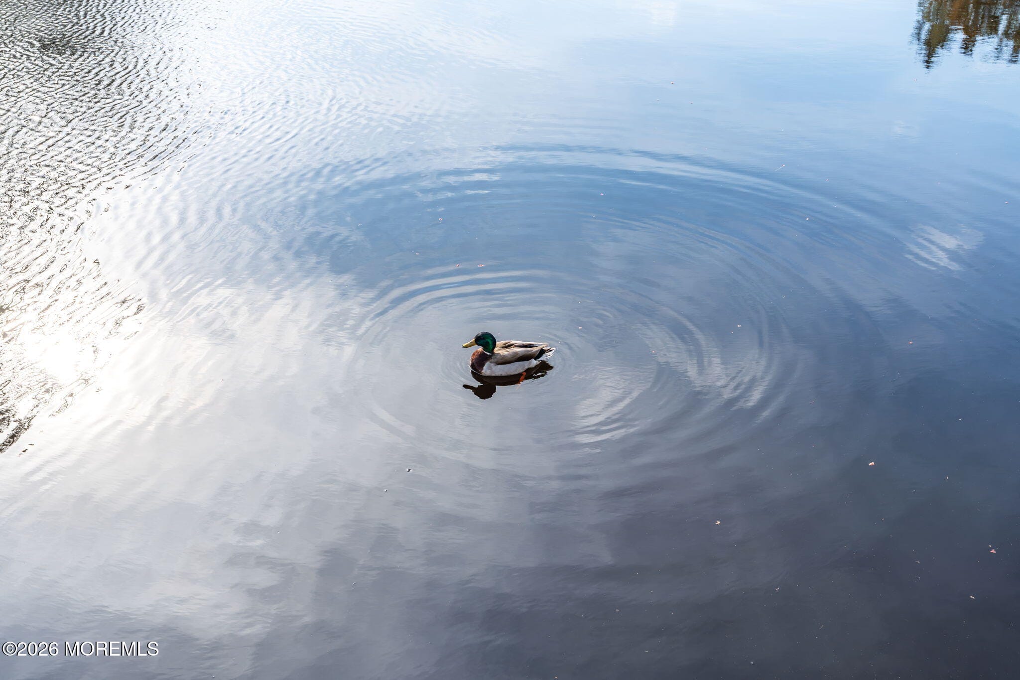 20 Dune Drive, Bayville, NJ, 08721 image 84