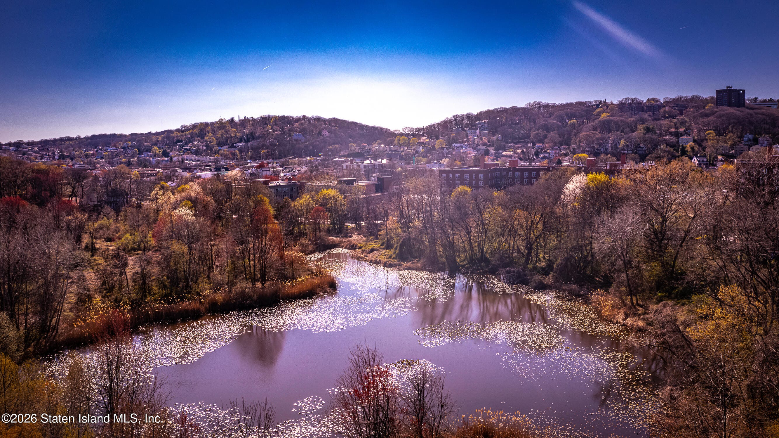 103 Mosel Avenue, Staten Island, NY, 10304 image 21