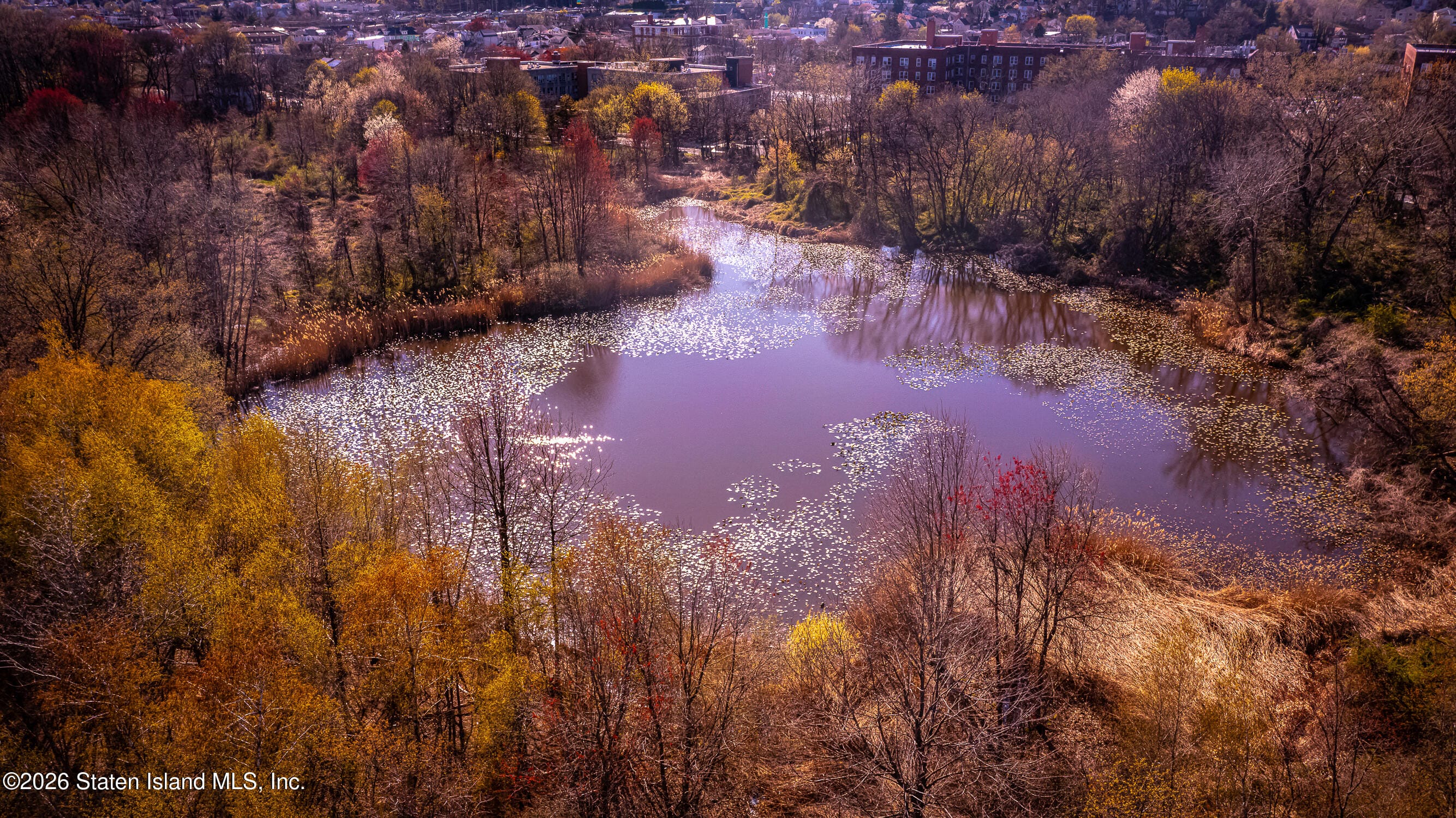 103 Mosel Avenue, Staten Island, NY, 10304 image 22