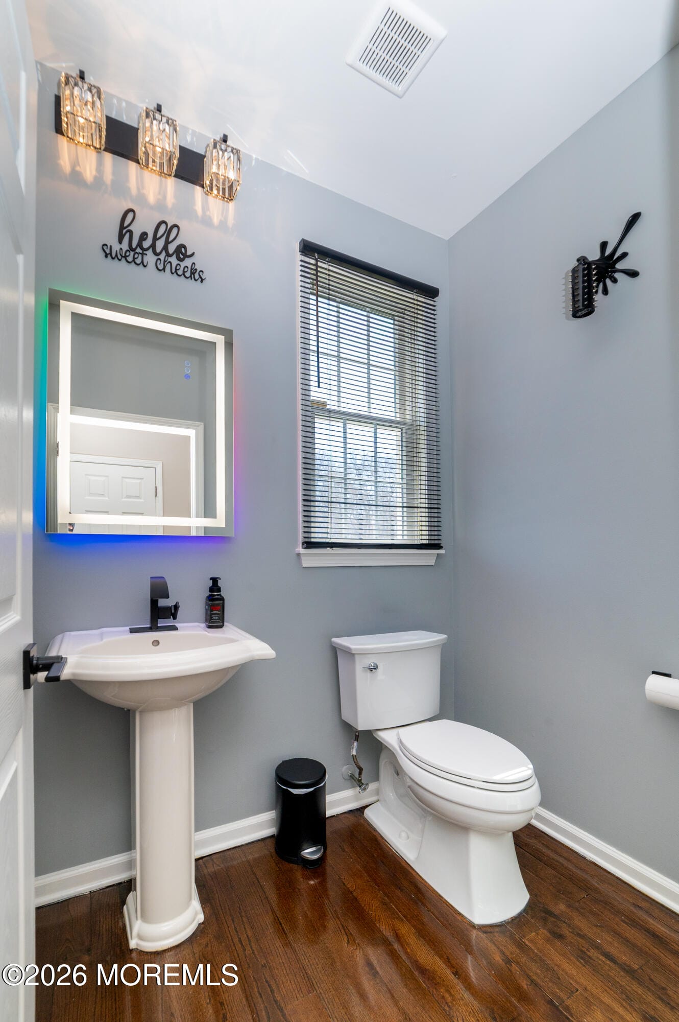 19 Lakeside Drive, Jackson, NJ, 08527 image 19