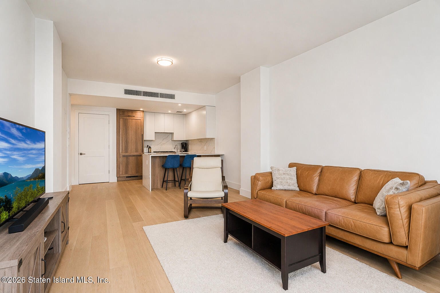 9956 3rd Avenue 304, Brooklyn, NY, 11209 image 23