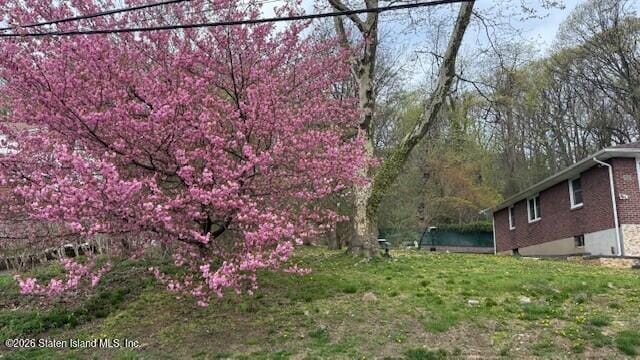 100 Cedar Terrace, Staten Island, NY, 10304 image 6