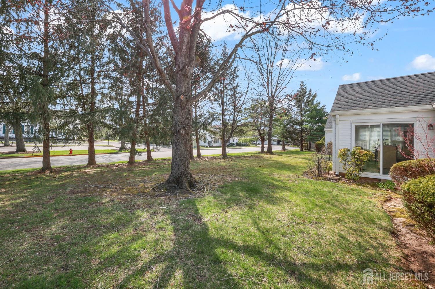 731 Mount Vernon Road A, Monroe, NJ, 08831 image 41