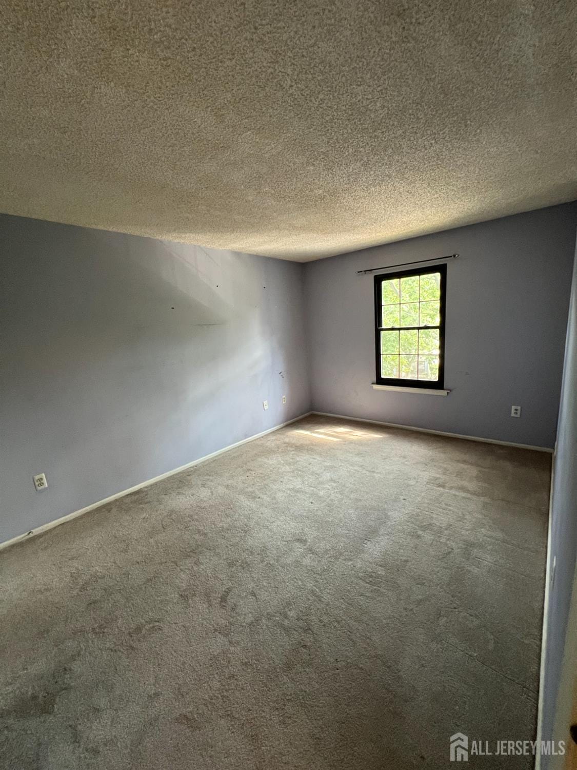 285 Hampshire Court, Piscataway, NJ, 08854 image 11