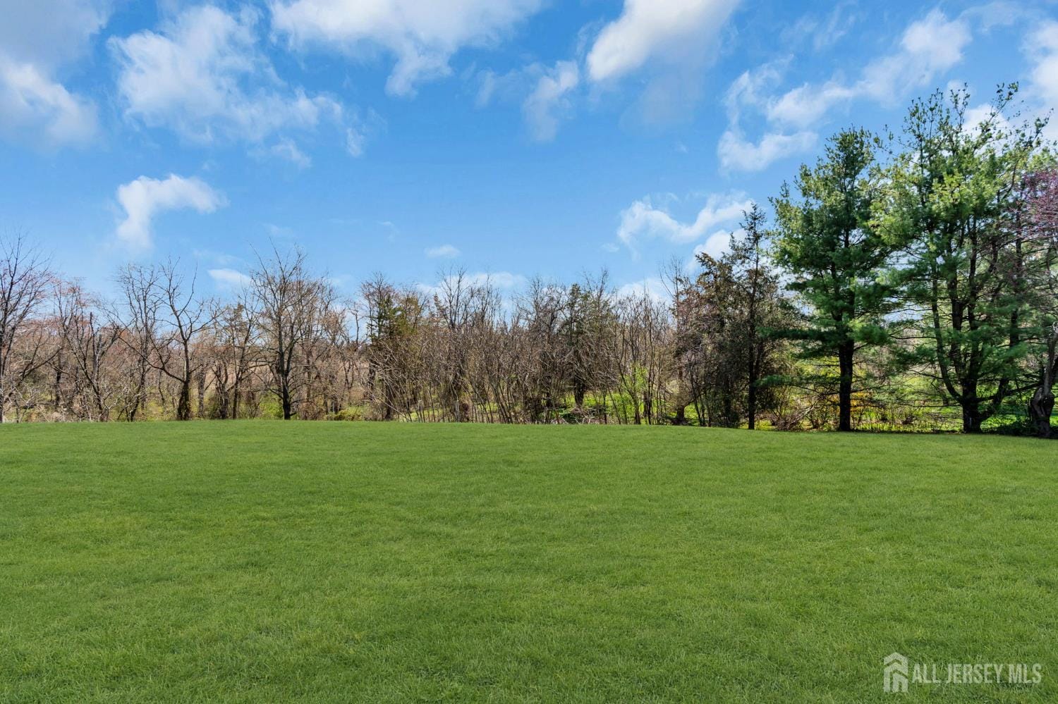 52 Zeller Drive, Franklin Twsp, NJ, 08873 image 63