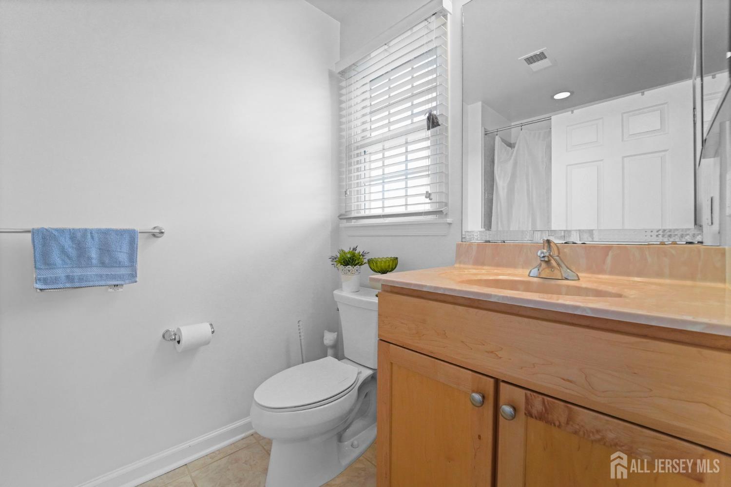 5 Bouvier Lane, South Brunswick, NJ, 08816 image 7