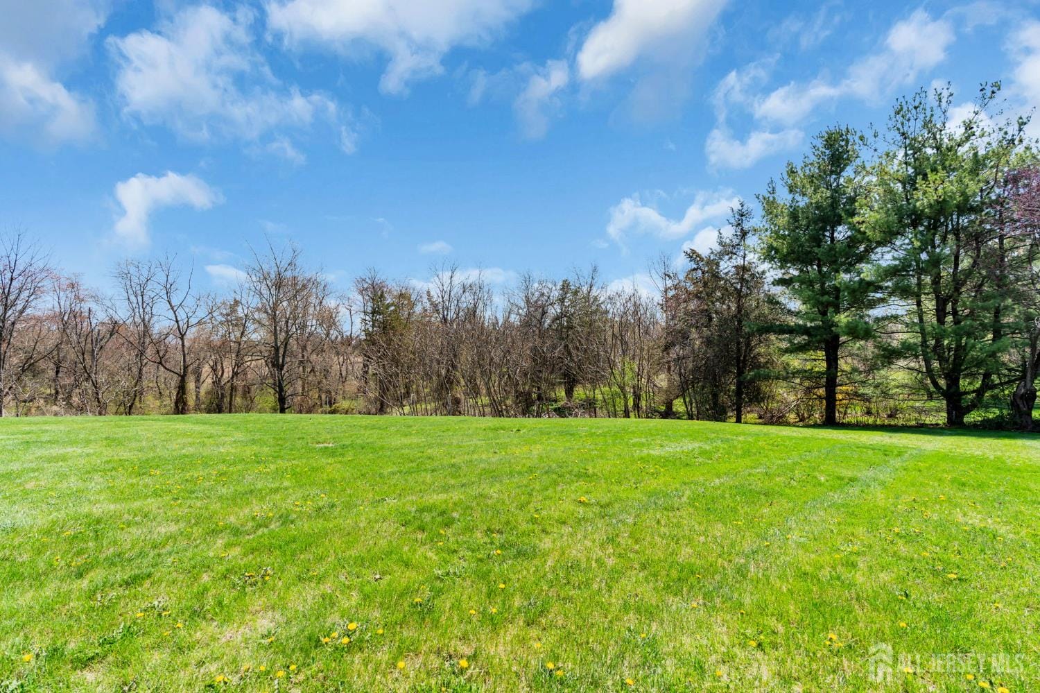 52 Zeller Drive, Franklin Twsp, NJ, 08873 image 75