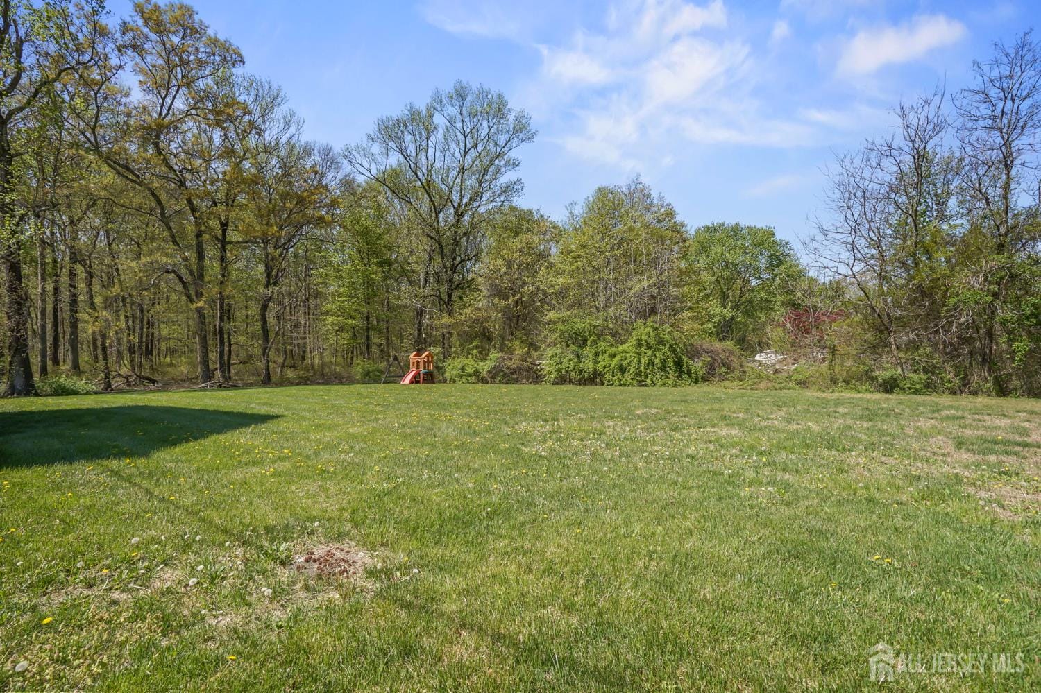 39 Friendship Road, Cranbury, NJ, 08512 image 40