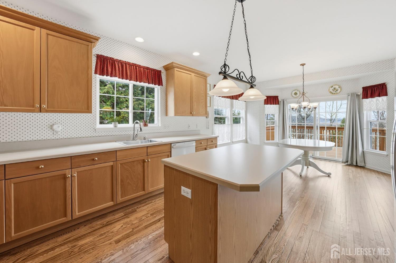 61 Canada Goose Drive, Hackettstown, NJ, 07840 image 9