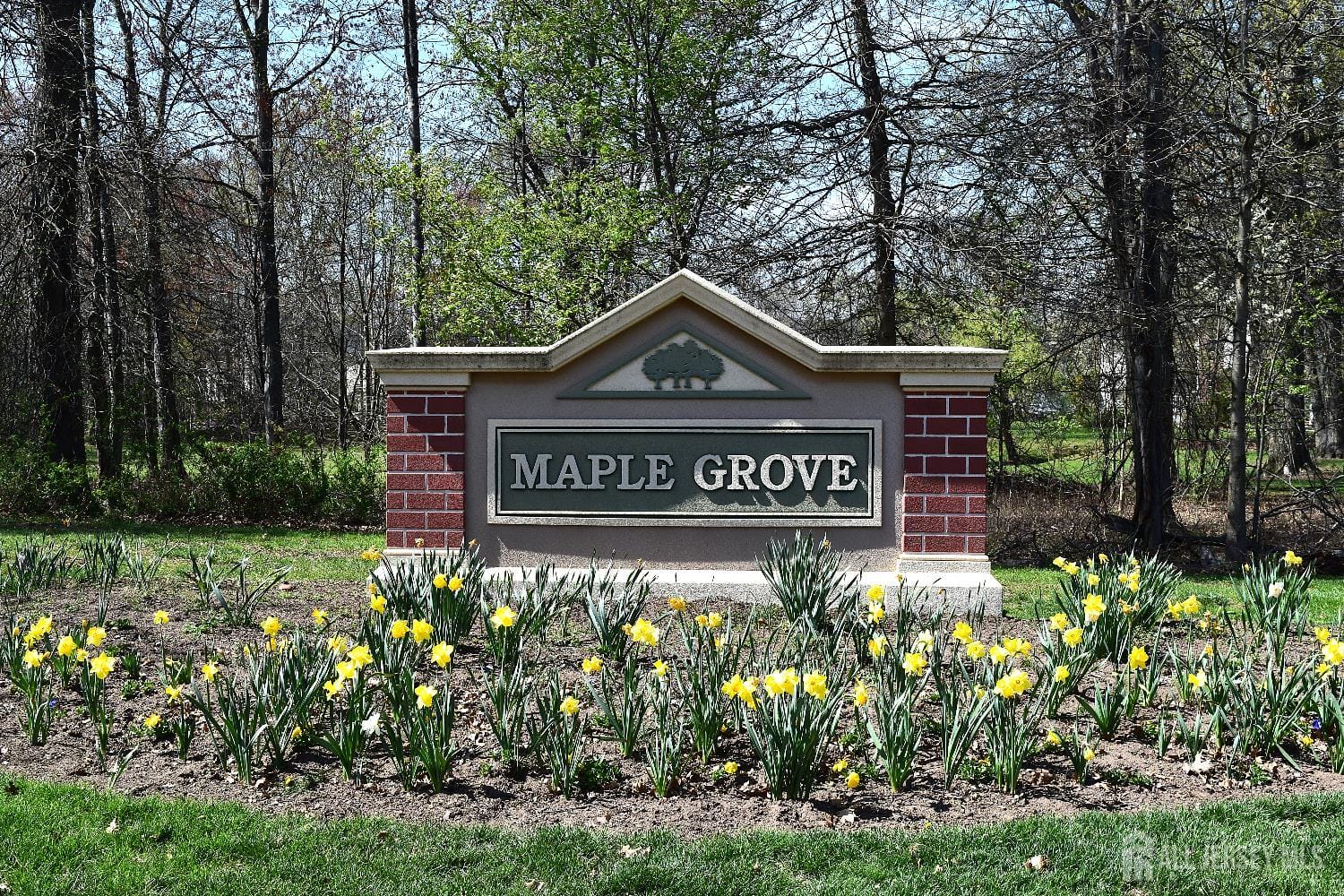 168 Vasser Drive Image 1