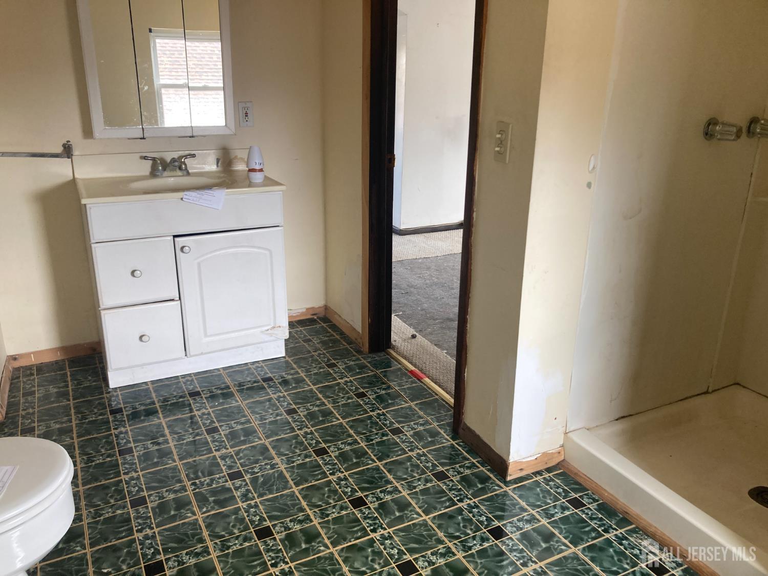 913 Eden Avenue, Highland Park, NJ, 08904 image 19