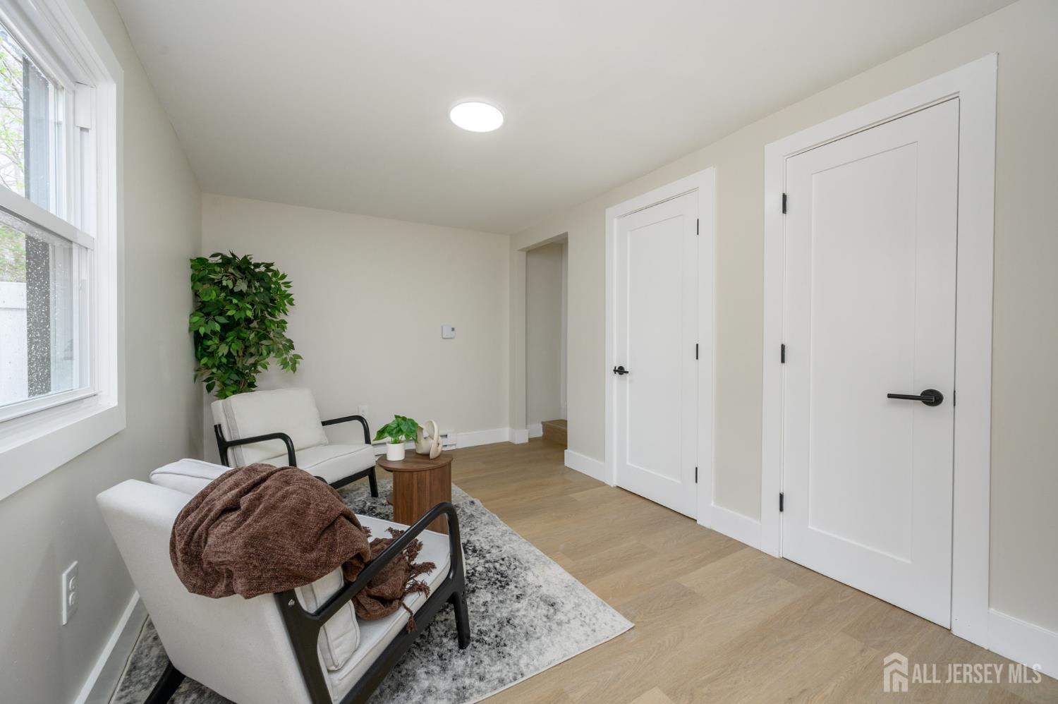 36 Delekas Avenue, South Plainfield, NJ, 07080 image 17