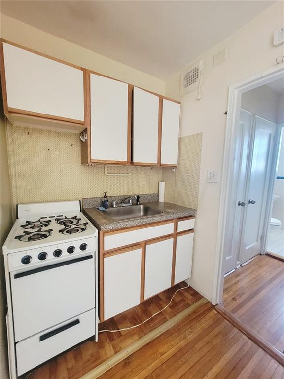 393 Avenue S 6G, Brooklyn, New York, 11223 image 8