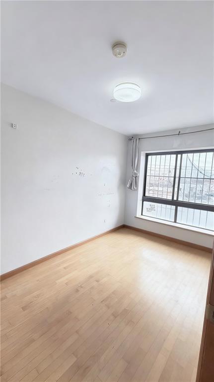 913 60th Street 4F Image 5