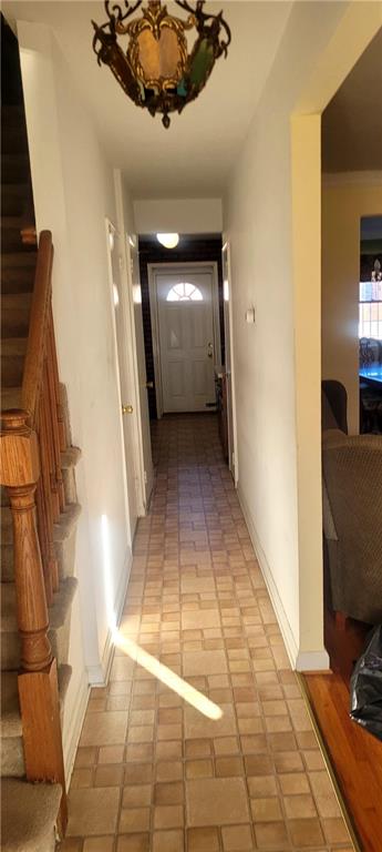 1411 East 53rd Street Image 2