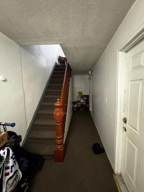 20 Pilling Street, Brooklyn, New York, 11207 image 7