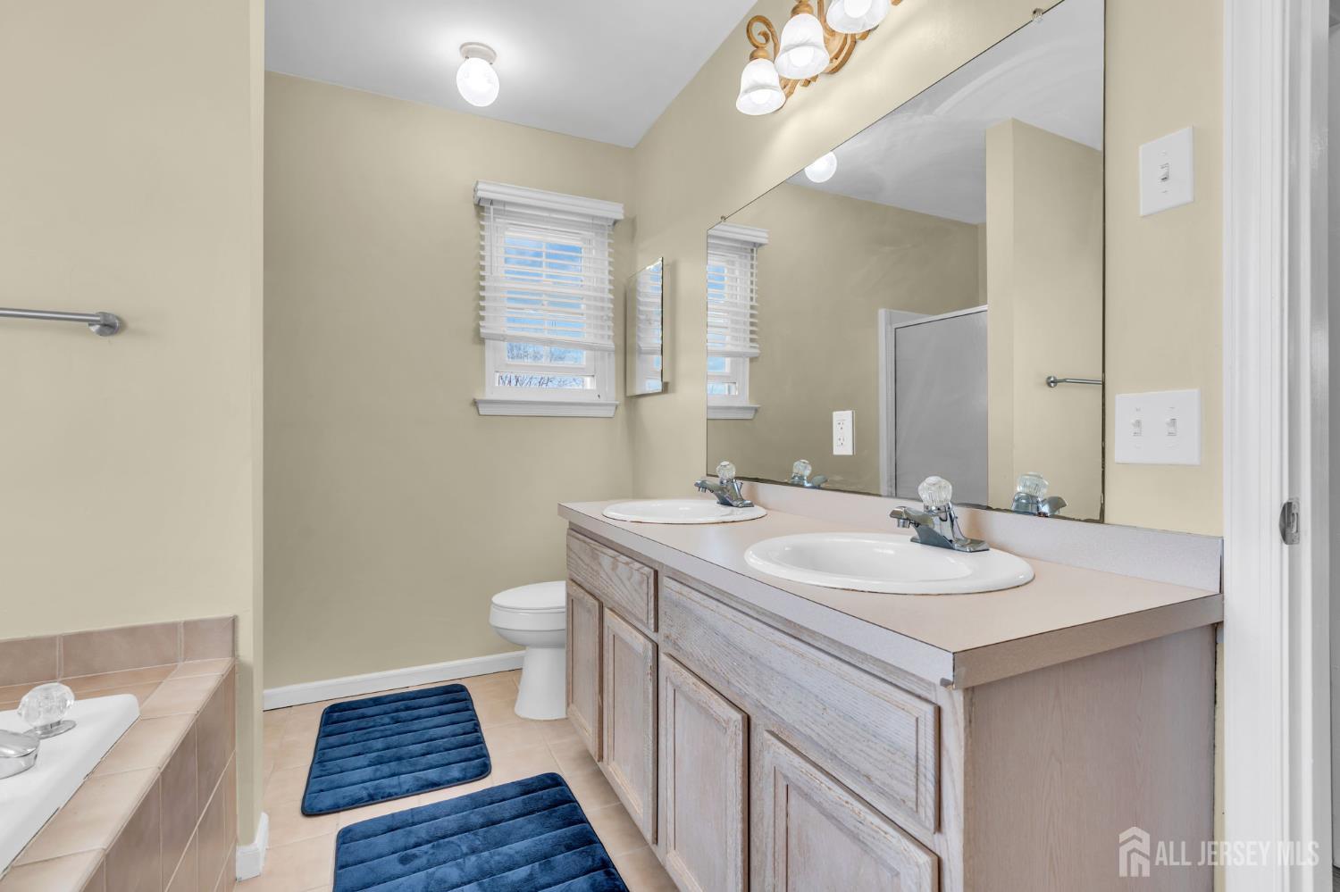 52 Zeller Drive, Franklin Twsp, NJ, 08873 image 39