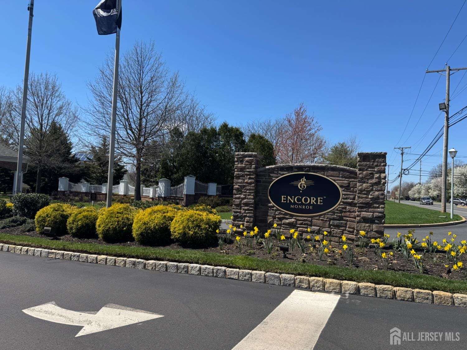 255 Spring Meadow Way, Monroe, NJ, 08831 image 4