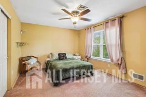 541 New Brunswick Road, Franklin Twsp, NJ, 08873 image 21