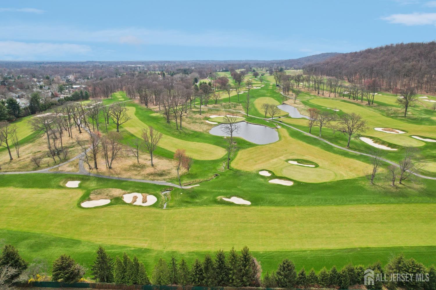 14 Eton Place, Springfield, NJ, 07081 image 23