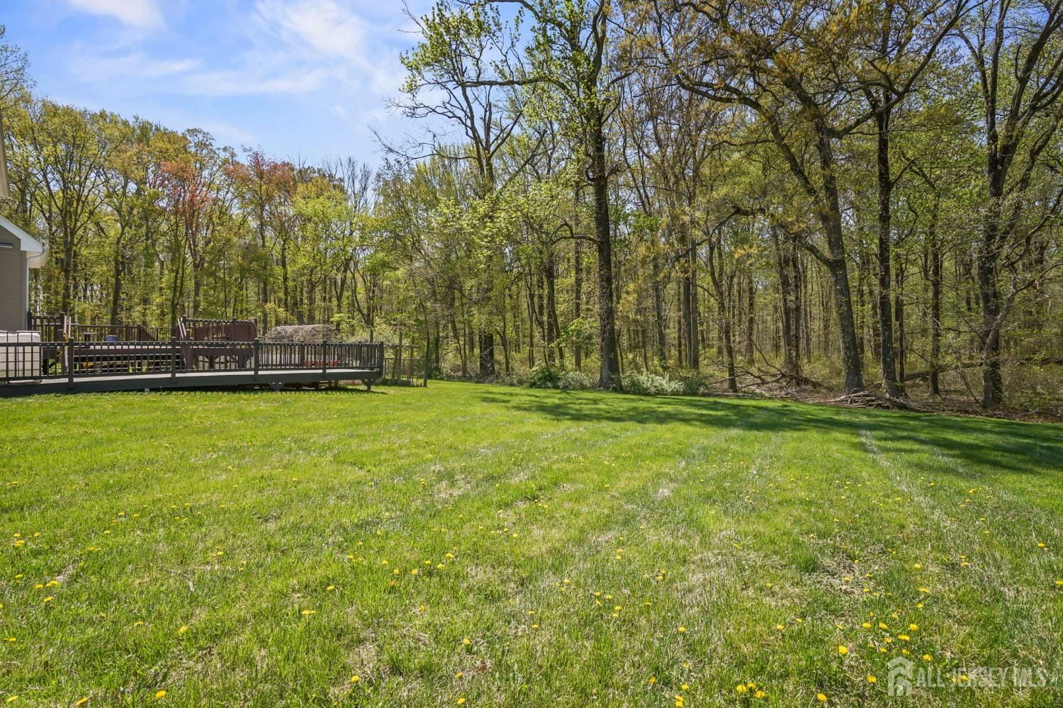 39 Friendship Road, Cranbury, NJ, 08512 image 41