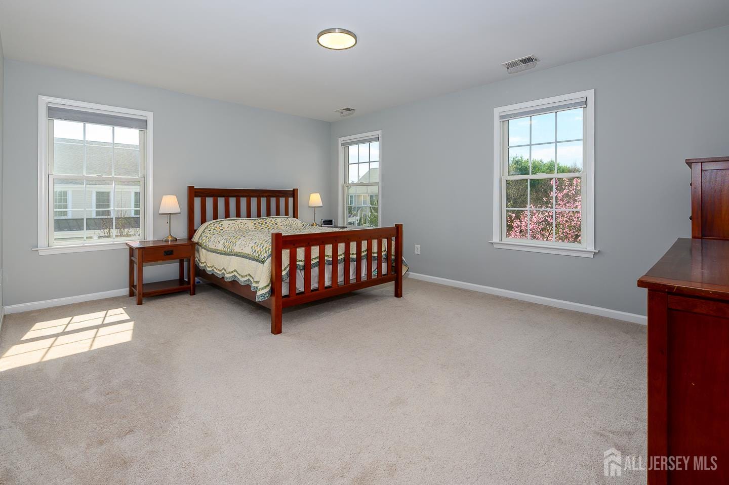 2 Wilson Lane, Plainsboro, NJ, 08536 image 19