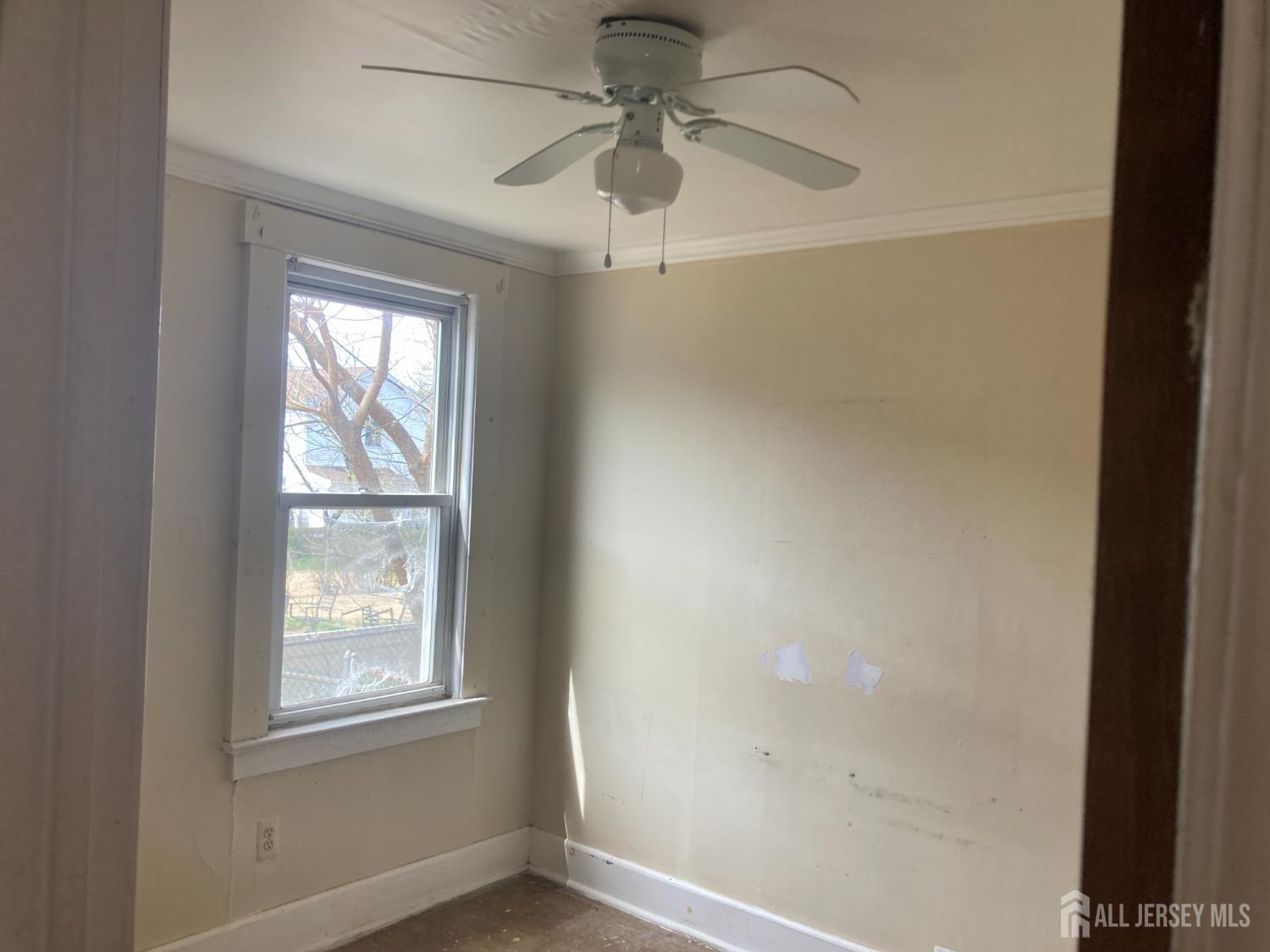 913 Eden Avenue, Highland Park, NJ, 08904 image 11