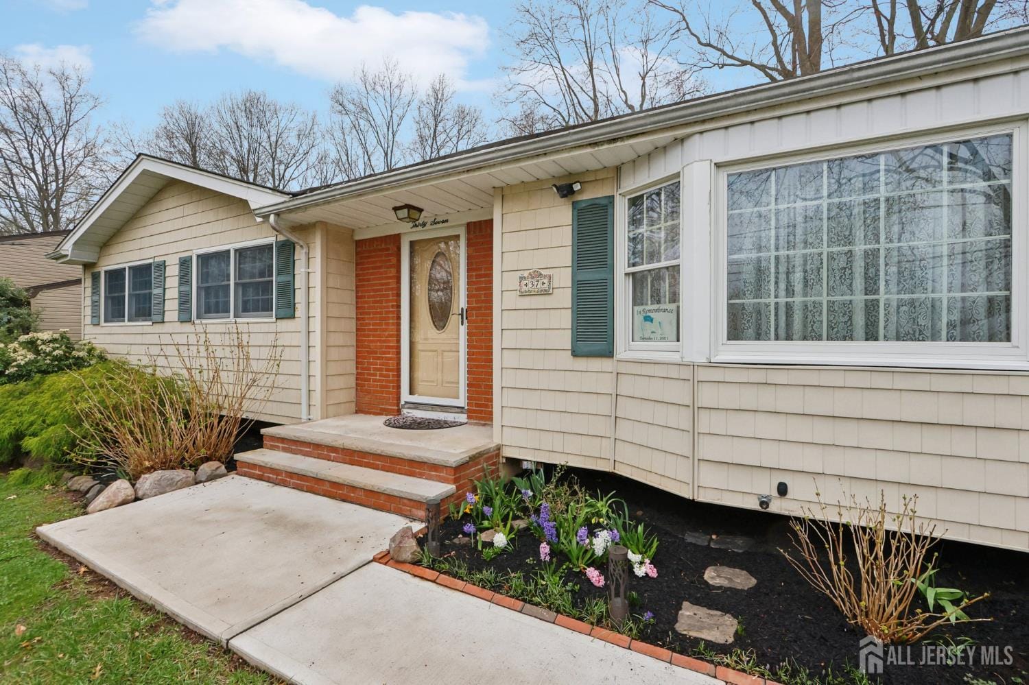 37 Dale Drive Image 3