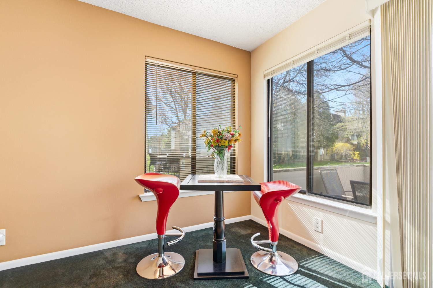 38 Carriage Place, Edison, NJ, 08820 image 11