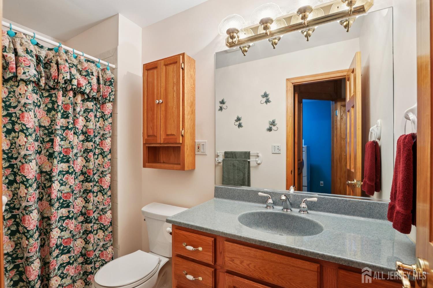 37 Dale Drive, Edison, NJ, 08820 image 23