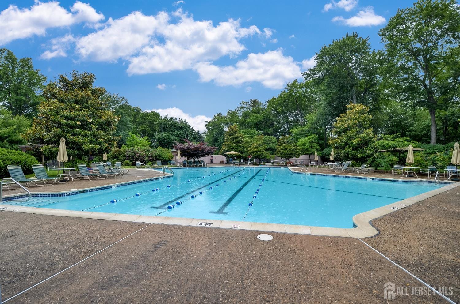 423 Sayre Drive, Plainsboro, NJ, 08540 image 8