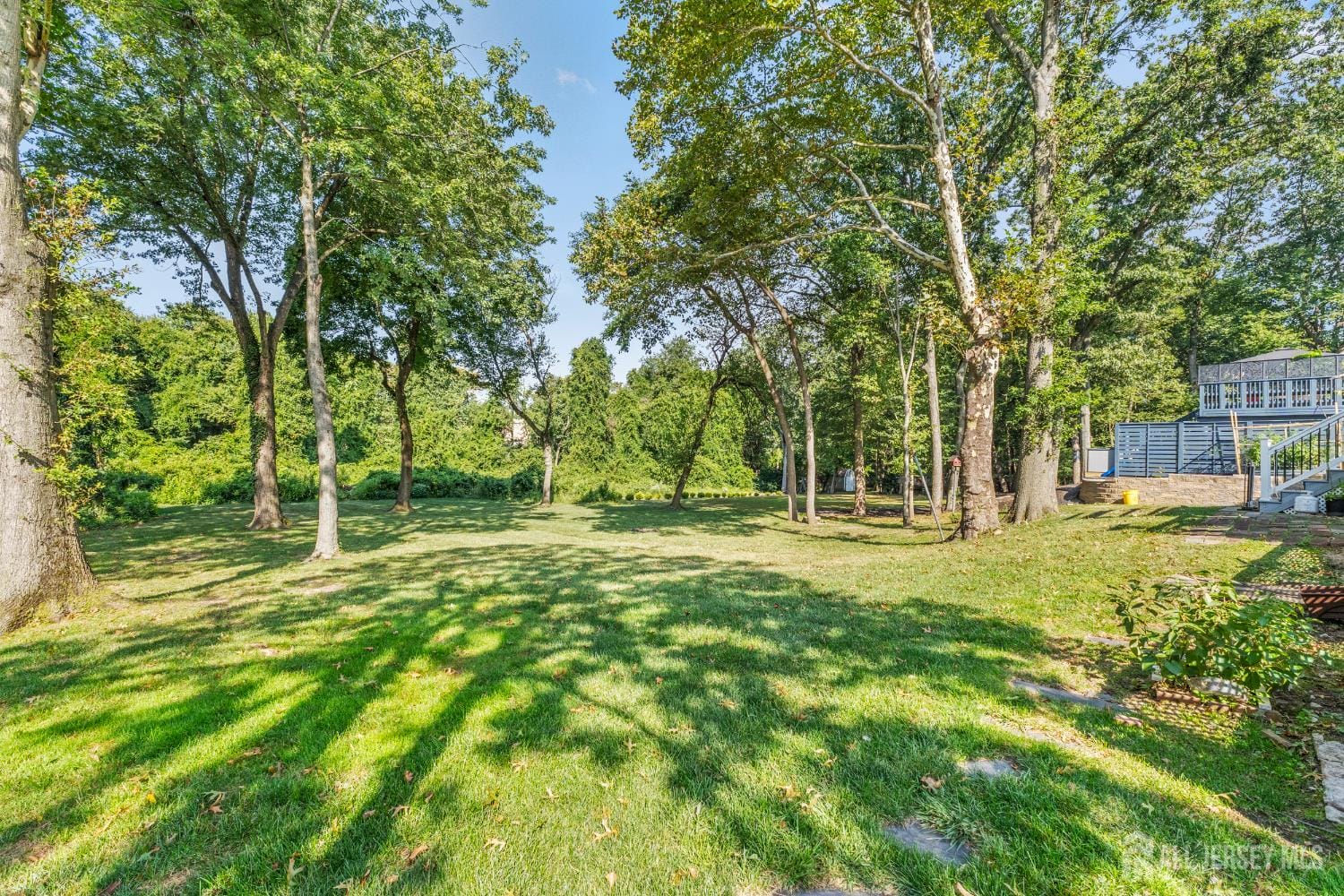 55 Ainsworth Avenue Image 3