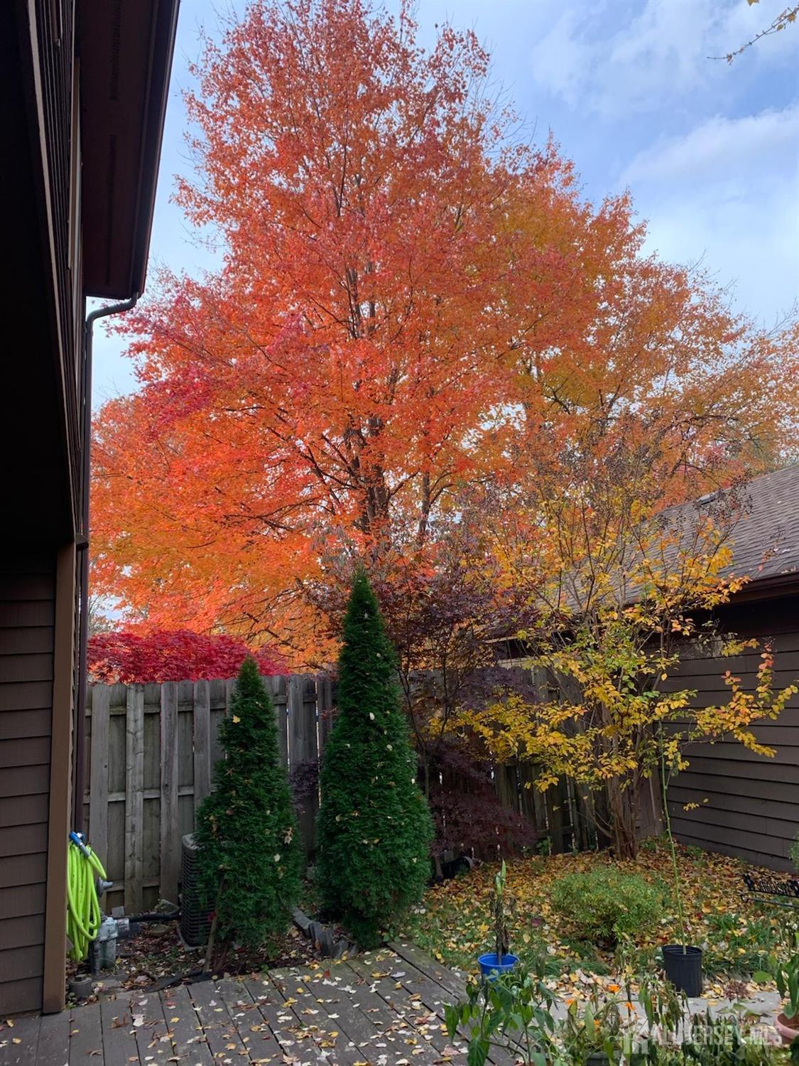 54 Holly Court, Edison, NJ, 08820 image 43