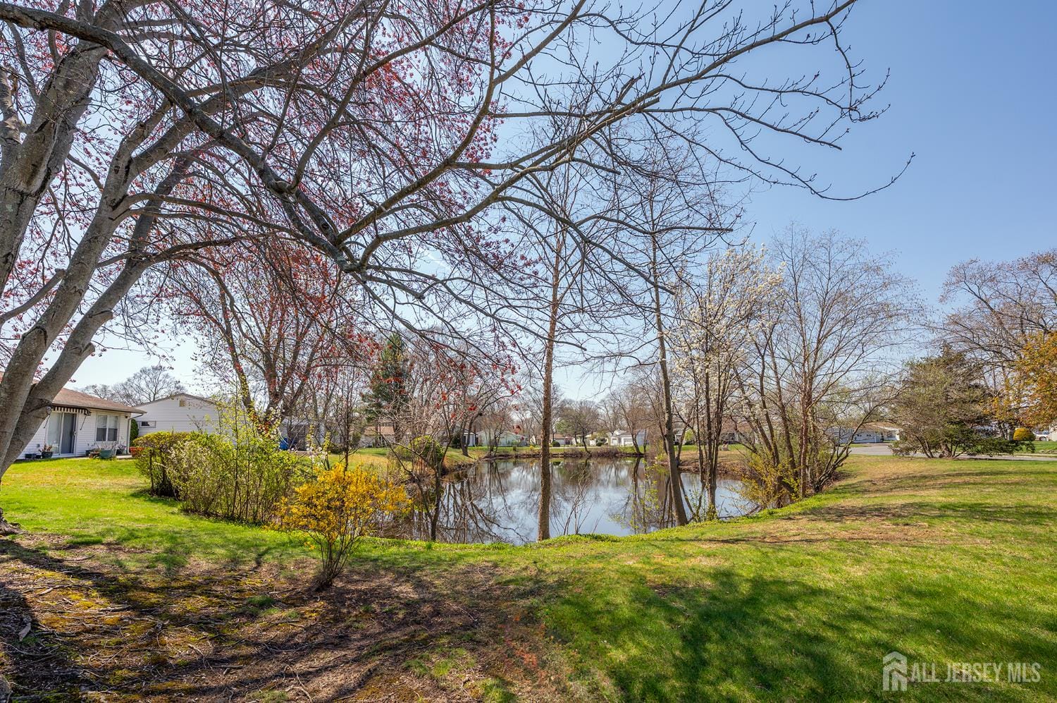 253 Belmar Road B, Monroe, NJ, 08831 image 17