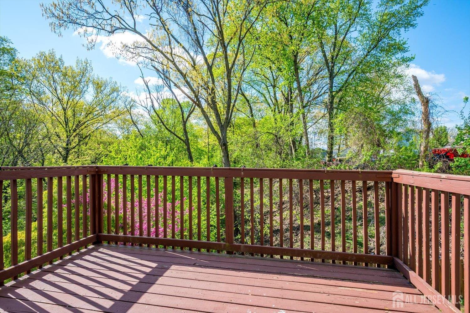 122 Dewolfe Street, Edison, NJ, 08817 image 18