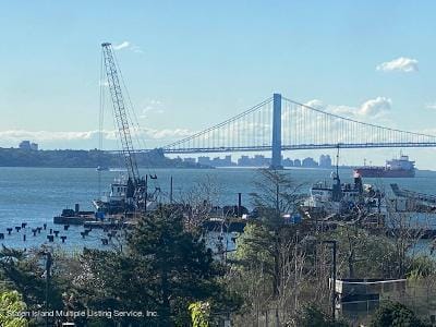 80 Bay Street Landing 4a, Staten Island, NY, 10301 image 40