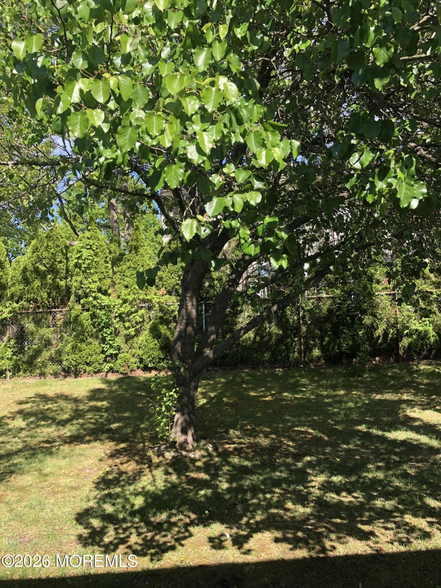 6 Dickinson Road, Brick, NJ, 08724 image 13